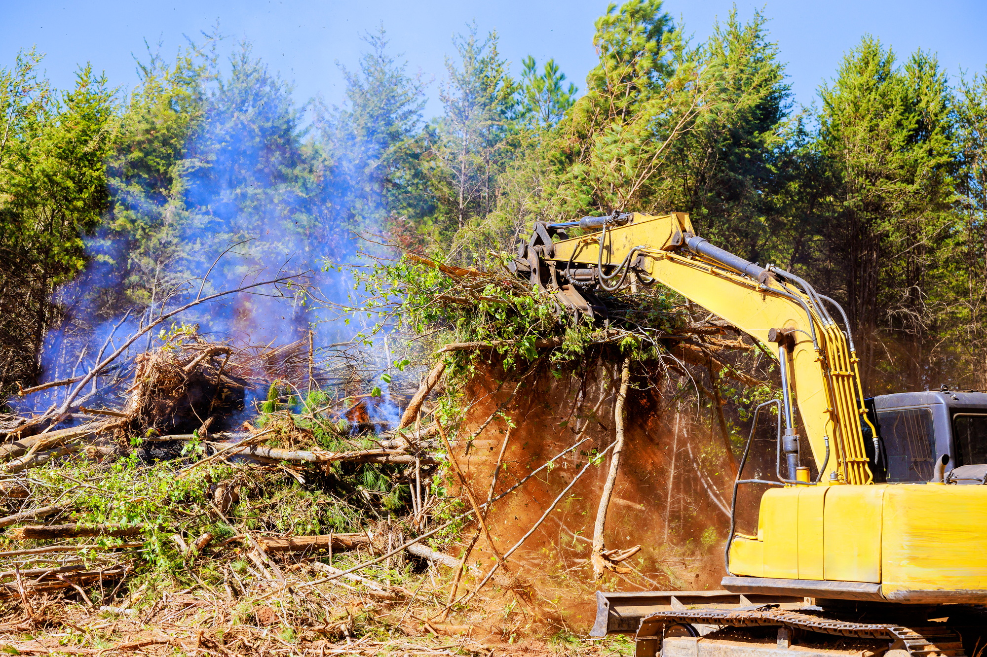 Trees are uprooted when preparing land for construction using an excavator by a contractor