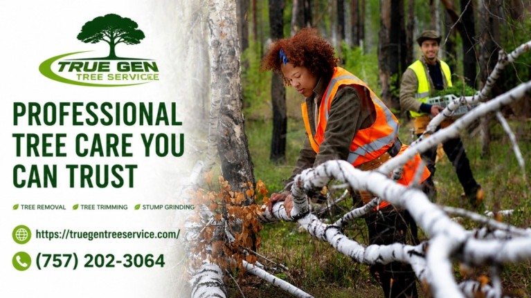 tree service norfolk va