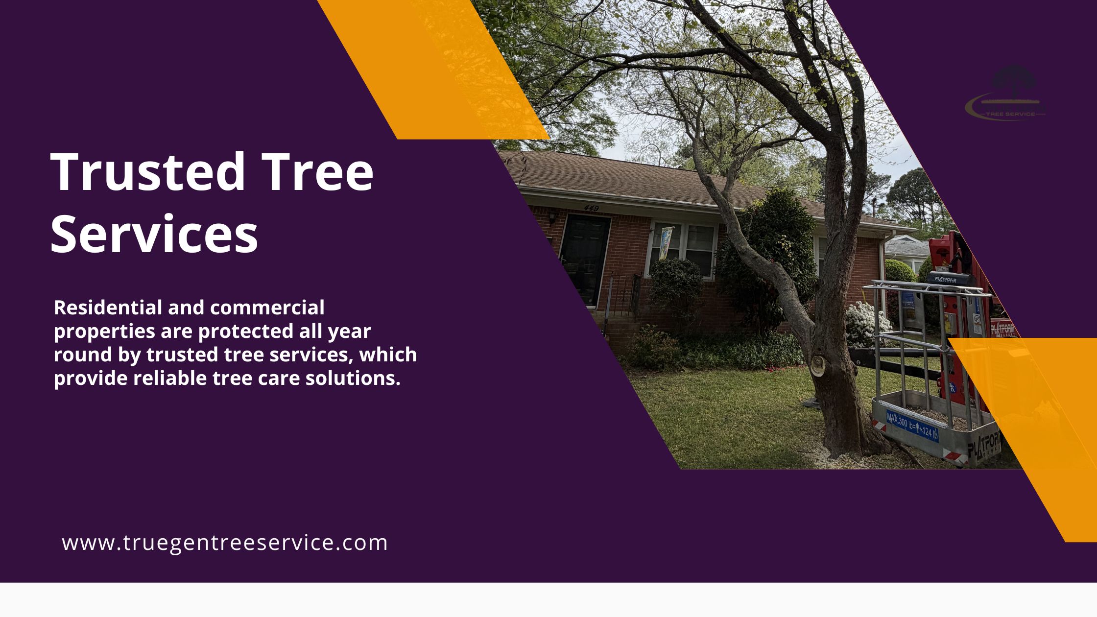trusted tree services
