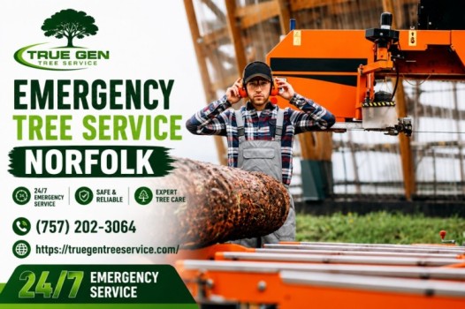 emergency tree service Norfolk