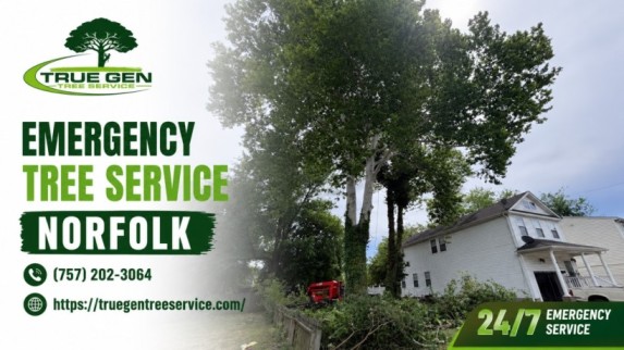 emergency tree service Norfolk