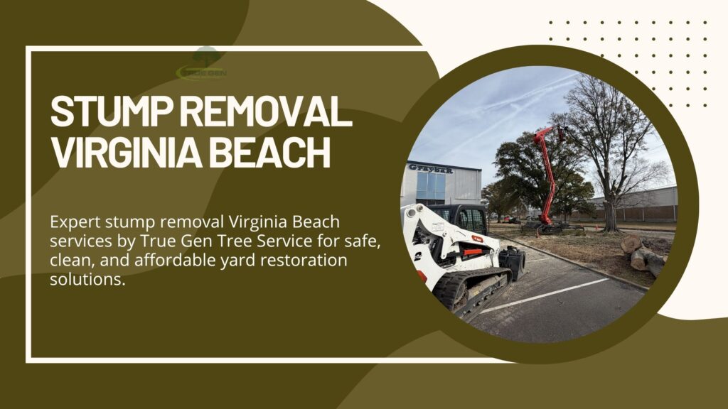 stump removal virginia beach