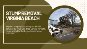 Affordable Stump Removal Virginia Beach Homeowners Trust