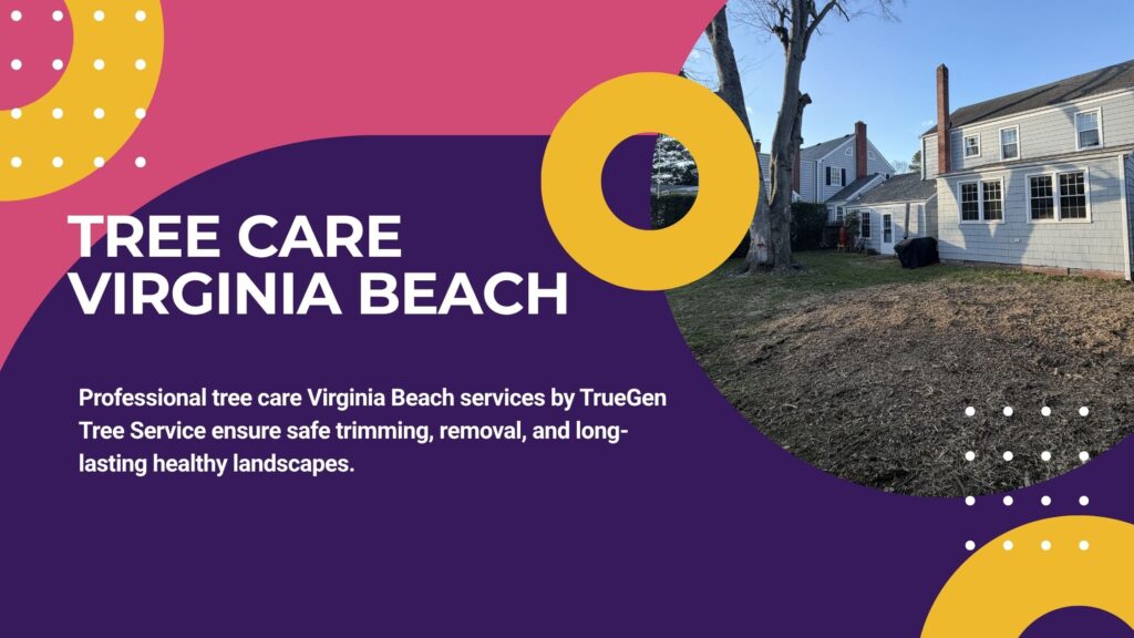 tree care virginia beach