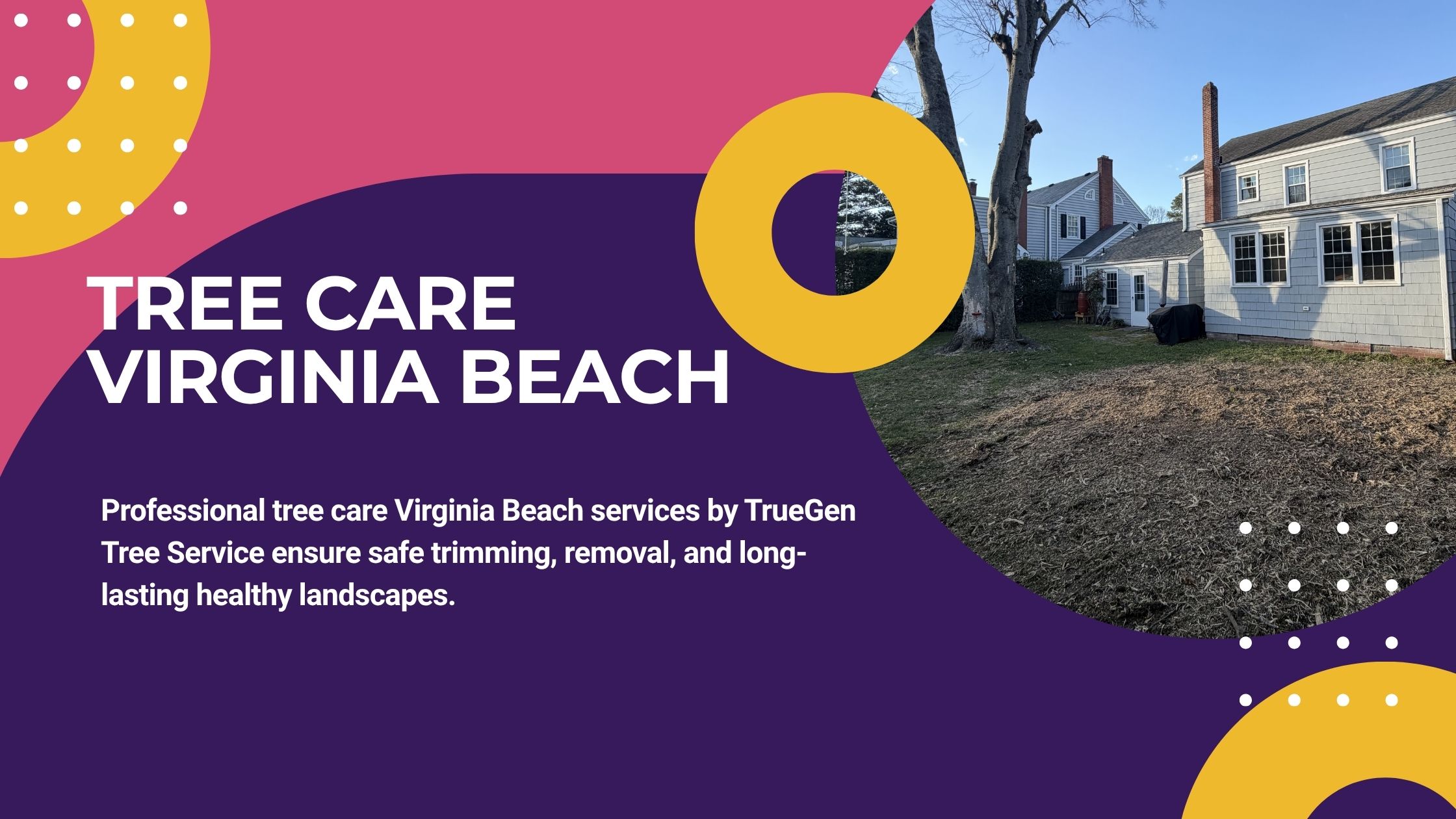 tree care virginia beach