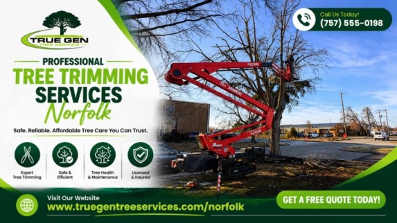 tree doctor norfolk virginia