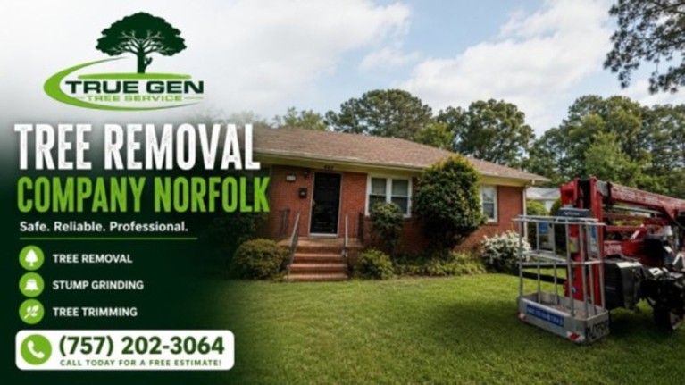 tree removal company norfolk