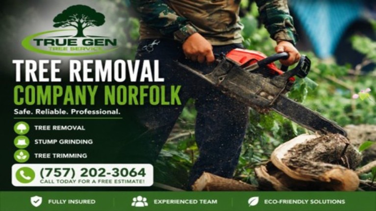 tree removal company norfolk
