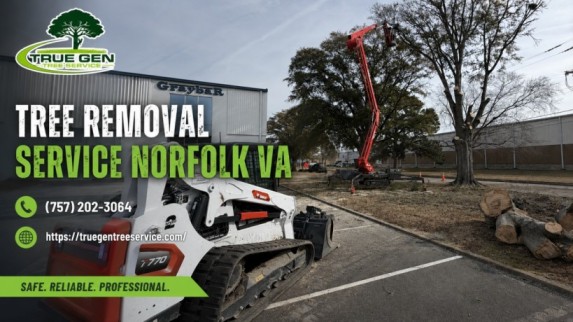 tree removal service norfolk va