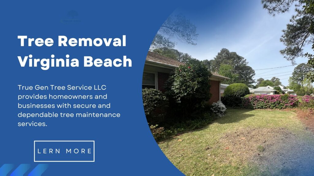 tree removal virginia beach