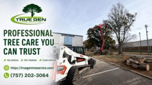 Tree Service In Norfolk, VA | Safe, Trusted & Affordable
