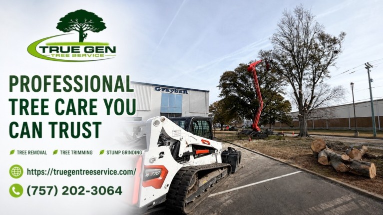 tree service norfolk va