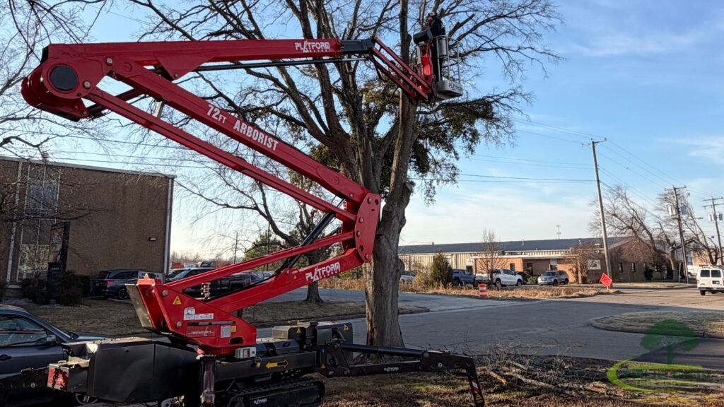 tree service virginia beach