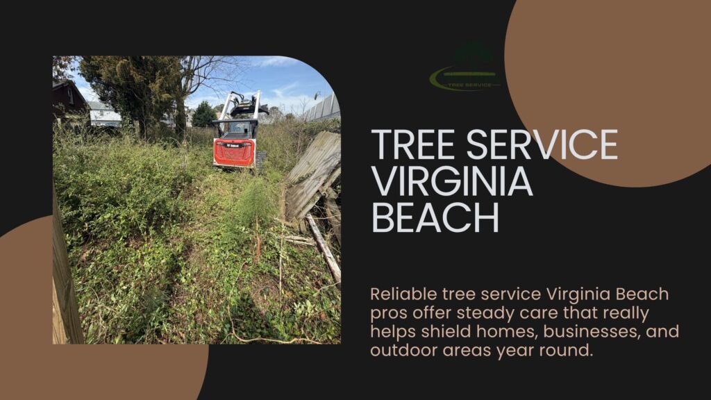 tree service virginia beach