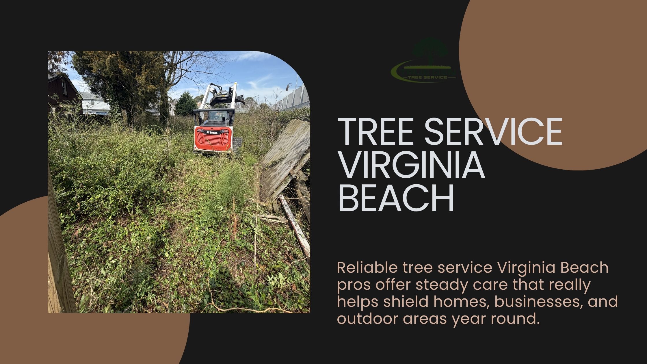 tree service virginia beach