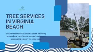 Emergency Tree Services in Virginia Beach Available Today