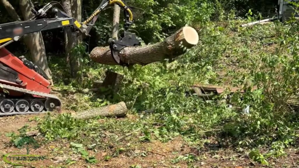 trusted tree services