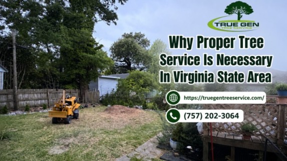 Why Proper Tree Service Is Necessary In Virginia State Area