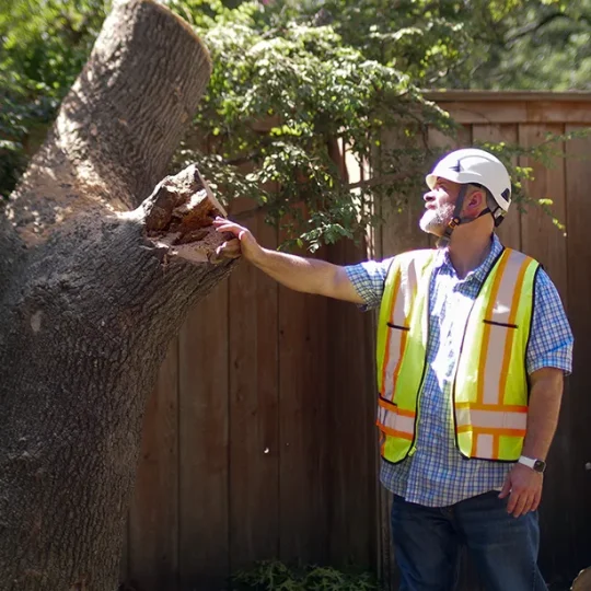 Why Choose True Gen Tree Service_ 614 x 614